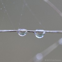 /album/galerie-photos/frida-dumont-img-4797-jpg/